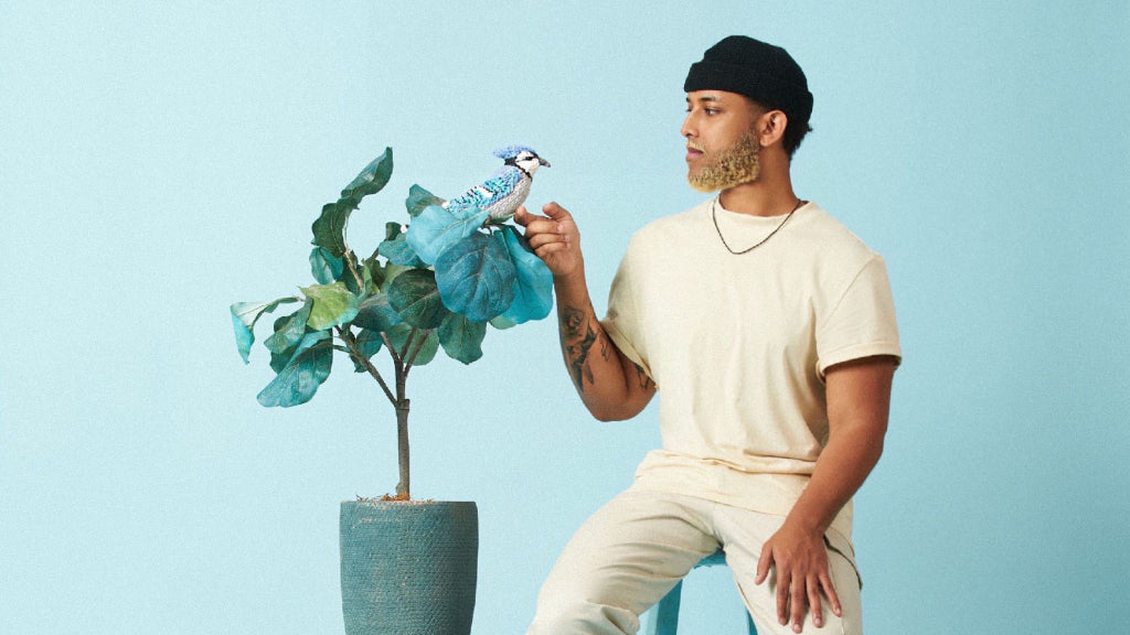 Turn Instagram Followers Into Fan Club Members: The Alexander Nate Strategy