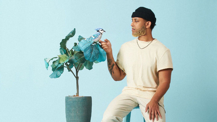 Turn Instagram Followers Into Fan Club Members: The Alexander Nate Strategy